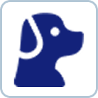 Haustier-/Tiererkennung